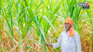 Agriculture News Agriculture News