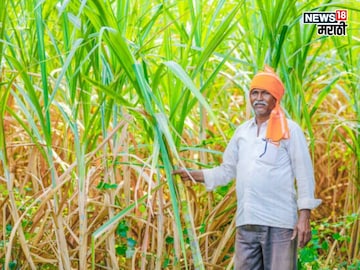 Agriculture News Agriculture News