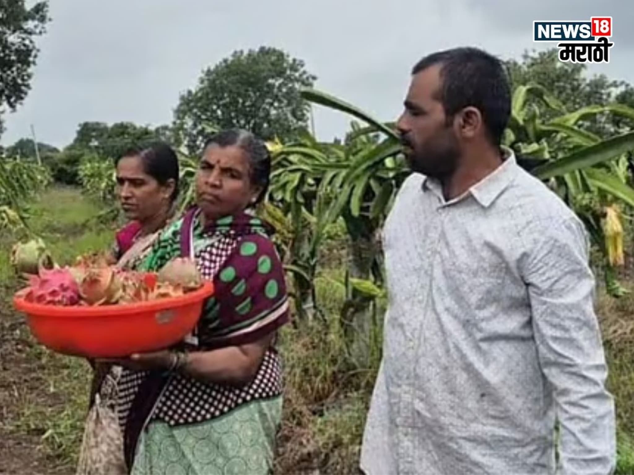 कायमच दुष्काळ तरी माळरानावर फुलवलं नंदनवन, आता येवल्याचा शेतकरी करतोय लाखोंची कमाई कायमच दुष्काळ तरी माळरानावर फुलवलं नंदनवन, आता येवल्याचा शेतकरी करतोय लाखोंची कमाई