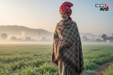 आता थंडीचा तडाखा, या जिल्ह्यांत येणार मोठी लाट,पिकांचं व्यवस्थापन कसं कराल?