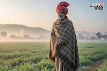 कृषी हवामान : अवकाळी गेला आता थंडीचा तडाखा, या जिल्ह्यांत येणार मोठी लाट, रब्बी पिकांचं व्यवस्थापन कसं कराल?