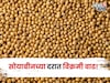 सोयाबीनच्या या जातीला मिळाला ७ हजार ४०१ रुपयांचा भाव, दर आणखी कडाडणार?