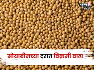 Soybean Market Soybean Market