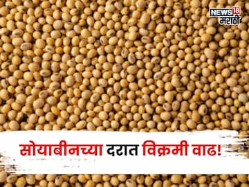 Soybean Market Soybean Market