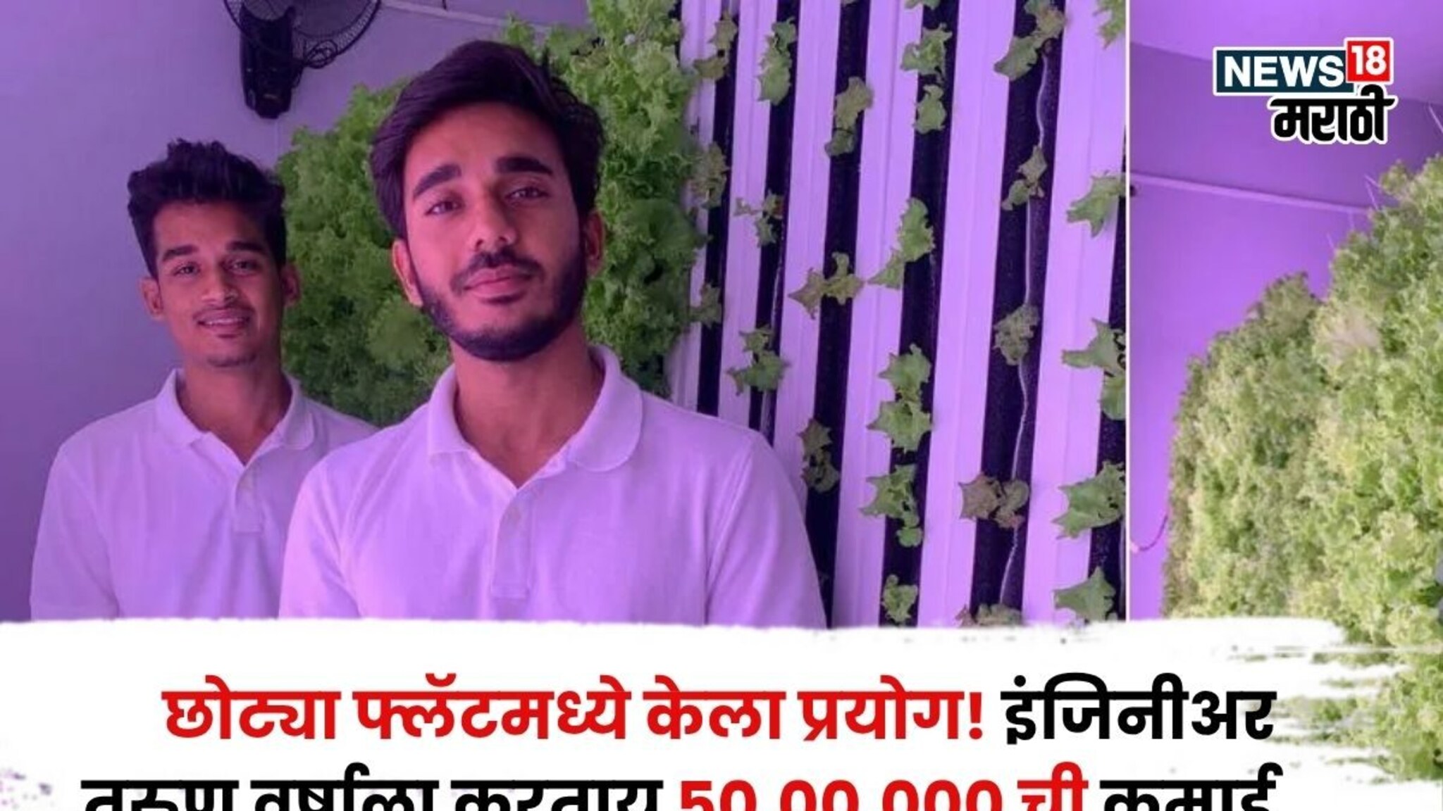 पोरांनी नाद केला! छोट्या फ्लॅटमधून शेतीला सुरुवात, आता दोन इंजिनीअर तरुण वर्षाला करताय ५०,००,००० ची कमाई