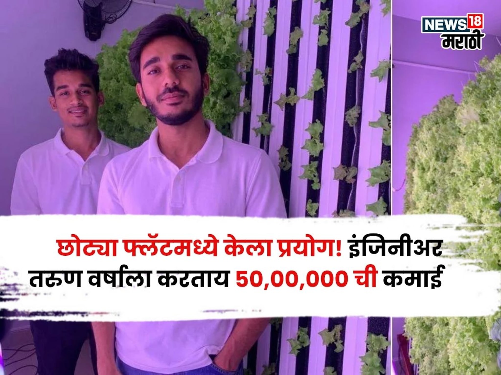 छोट्या फ्लॅटमधून शेतीला सुरुवात! इंजिनीअर तरुण वर्षाला करताय ५०,००,००० ची कमाई