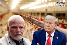 भारत-यूएईचा मेगाप्लॅन! अमेरिकेचा जळफळाट, भारताच्या पोल्ट्री व्यवसायाला येणार सोन्याचे दिवस