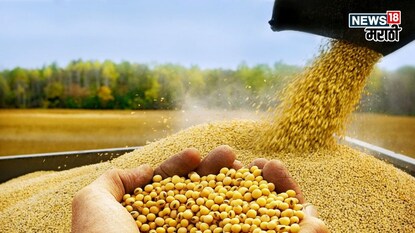 soyabean bajar bhav soyabean bajar bhav
