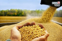 Explainer : आता सोयाबीनच ठरणार शेतकऱ्यांसाठी गेमचेंजर! दरात सुधारणा, मार्केटची पुढील दिशा काय असणार?