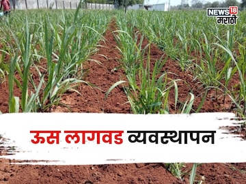 agriculture news 
