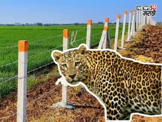 agriculture news agriculture news