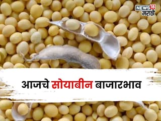 soybean market soybean market