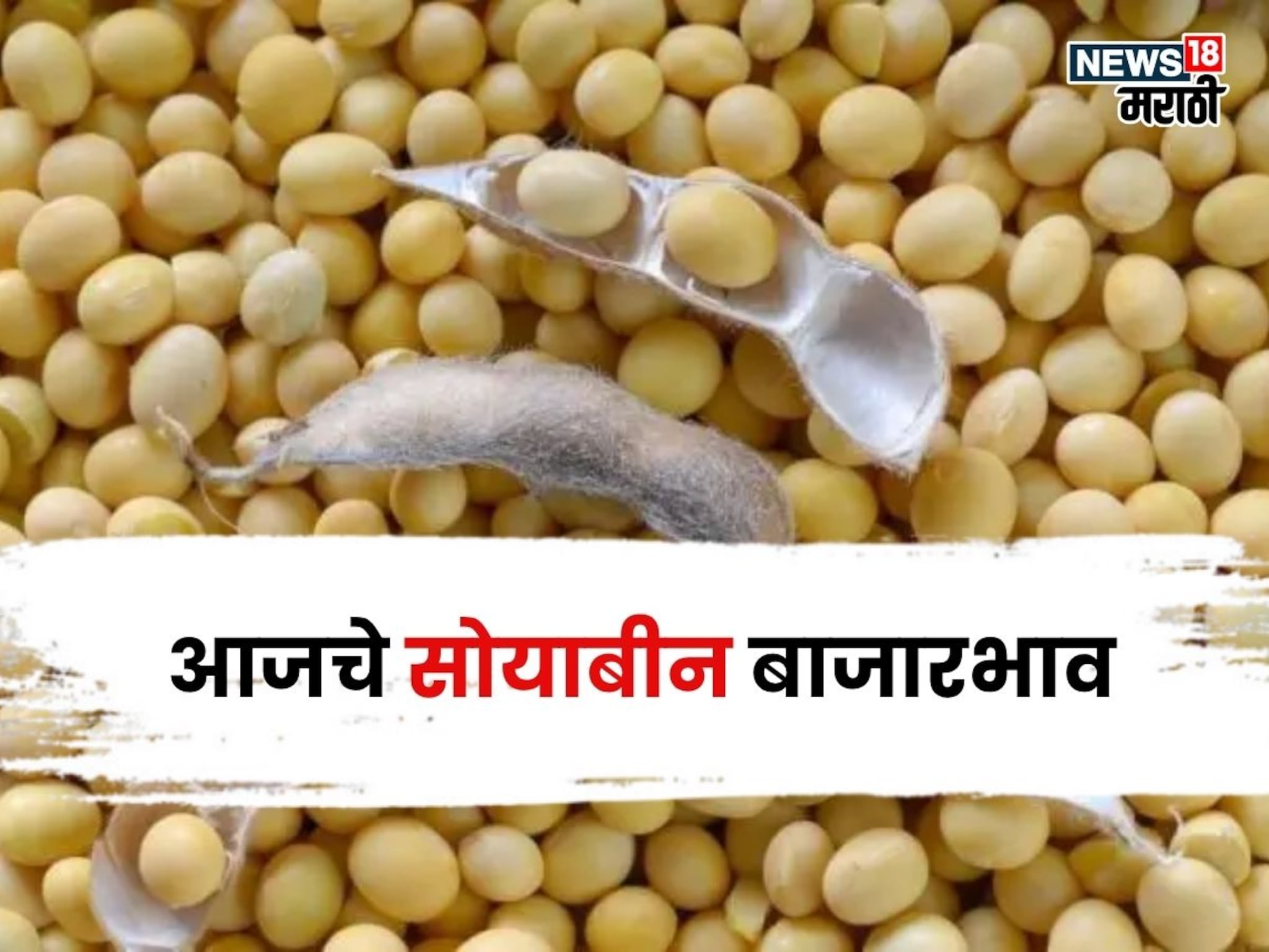 सोयाबीनच्या दरात घसरण की तेजी? आजचा भाव काय? मार्केटमधून आली मोठी अपडेट