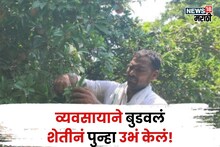 व्यवसायात लाखोंचं कर्ज घेऊन बुडाला! पण ही शेती ठरली गेमचेंजर, नांदेडचा शेतकरी करतोय ११,००,००० ची कमाई