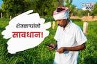 मोबाईलवर हा मेसेज,लिंक आली तर ओपन करु नका! क्लिक करताच खात्यातील पैसे होणार गायब