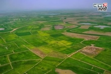 महसूल विभागाकडून जमीन तुकडेबंदीबाबत नवा निर्णय! कोणते फायदे मिळणार?