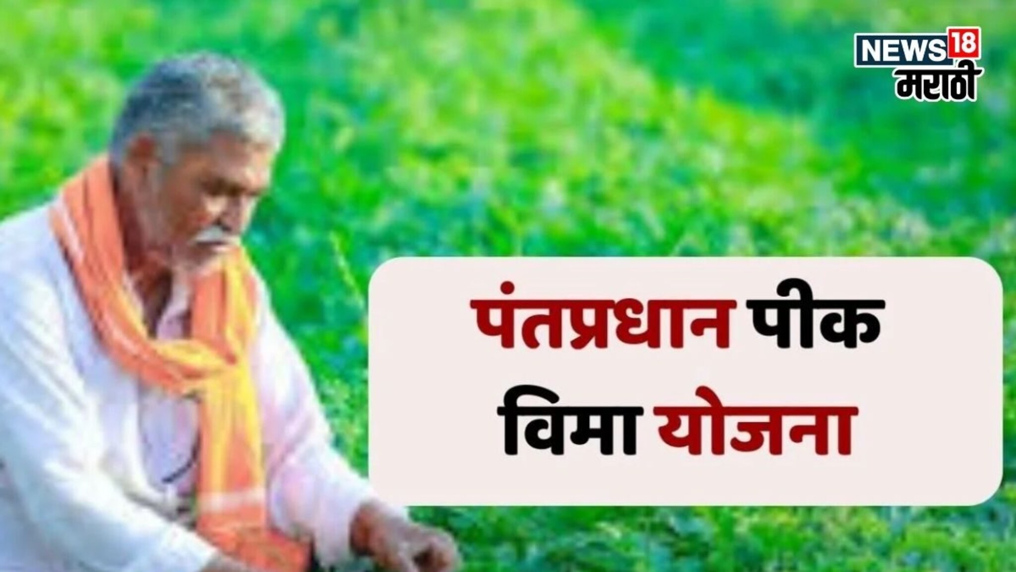 रब्बी पीक विम्यासाठी अर्ज सुरू, शेतकऱ्यांना पीक निहाय किती प्रिमियम भरावा लागणार?