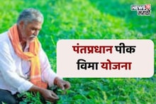 रब्बी पीक विम्यासाठी अर्ज सुरू, शेतकऱ्यांना पीक निहाय किती प्रिमियम भरावा लागणार?