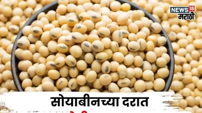 aajache soybean bajar bhav aajache soybean bajar bhav