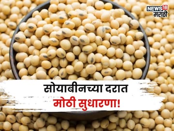 aajache soybean bajar bhav 