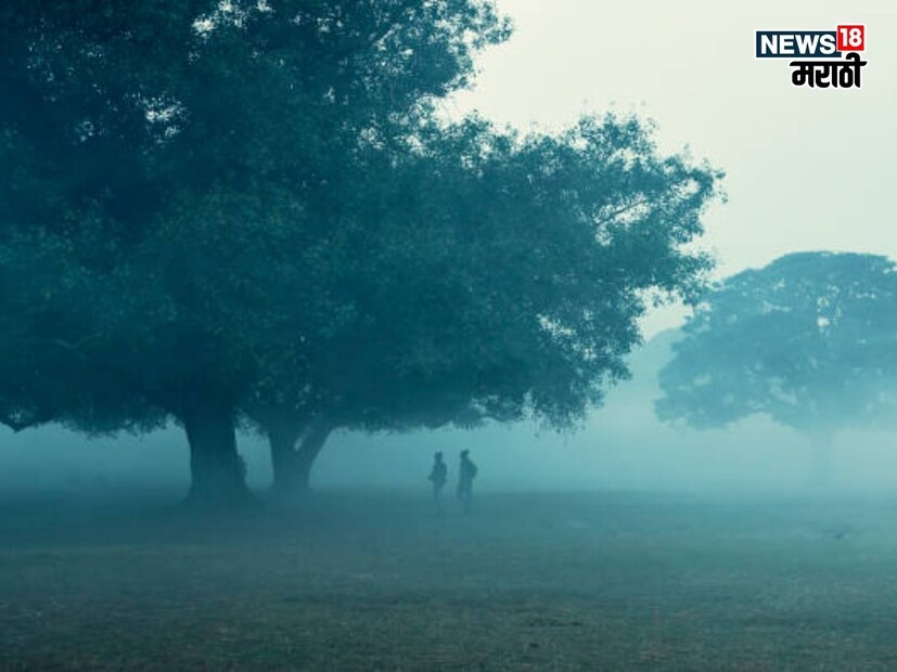 शेतकऱ्यांसाठी महत्त्वाचा सल्ला
