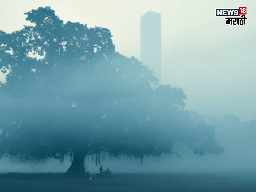 जनावरांची काय काळजी घ्याल? 