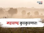 ५ दिवस महाराष्ट्र कुडकुडणार, या जिल्ह्यांत सर्वाधिक थंडी असणार, कृषी सल्ला काय?