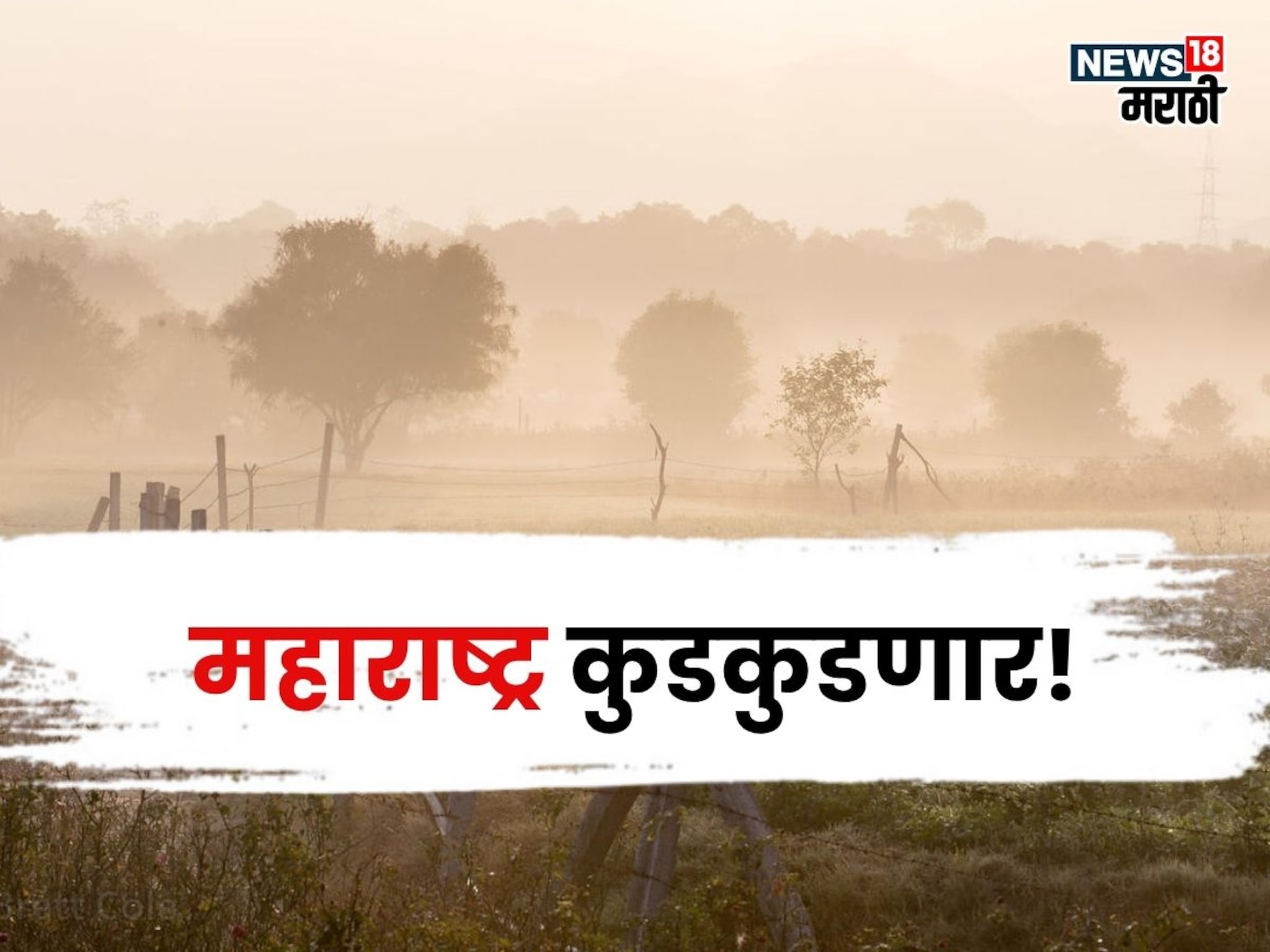 पुढील ५ दिवस महाराष्ट्र कुडकुडणार, या जिल्ह्यांत सर्वाधिक थंडी असणार, शेतकऱ्यांसाठी सल्ला काय?