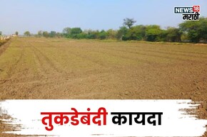 जमीन तुकडेबंदी कायद्याच्या सुधारित अध्यादेशाचा कुणाला कसा फायदा मिळणार?