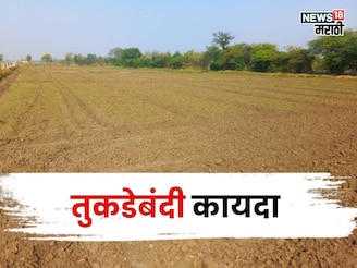 जमीन तुकडेबंदी कायद्याच्या सुधारित अध्यादेशाचा कुणाला कसा फायदा मिळणार?