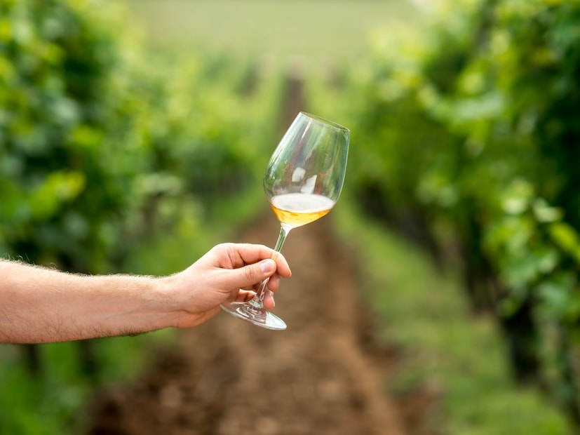 म्हणजे, जर तुम्ही कमी अल्कोहोल असलेली बिअर आणि जास्त अल्कोहोल असलेली व्हिस्की एकत्र प्यायलात आणि एकूण अल्कोहोलची मात्रा वाढली, तर नशा नक्कीच वाढेल. पण ती केवळ मिक्सिंगमुळे वाढली असे नाही, तर एकूण अल्कोहोलच्या प्रमाणामुळे वाढली.