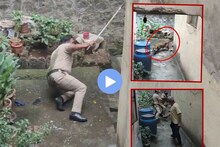 कोल्हापुरात बिबट्याचा धुमाकूळ, पोलिसावर जीवघेणा हल्ला, धडकी भरवणारा VIDEO