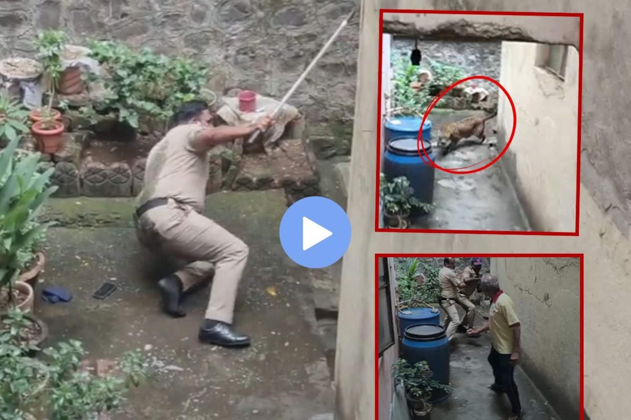 कोल्हापुरात बिबट्याचा धुमाकूळ, पोलिसावर जीवघेणा हल्ला, धडकी भरवणारा VIDEO