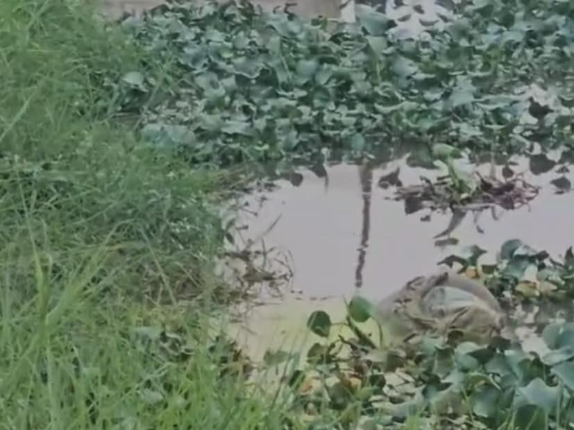  वसई पश्चिमेकडील माणिकपुर पोलीस स्टेशन हद्दीत वसई पश्चिम येथील दीवाणमान स्मशानभूमीजवळील वसई-विरार महानगरपालिकेच्या पाणी टाकीवर आज (मंगळवार) सायंकाळी अंदाजे ५ वाजेच्या सुमारास मोठा अपघात घडला. पाणी शुद्धीकरणासाठी वापरल्या जाणाऱ्या क्लोरिन सिलेंडरला अचानक गळती सुरू झाली. या रासायनिक वायुचा गंभीर परिणाम आसपास असलेल्या १० ते १५ लोकांवर झाला.