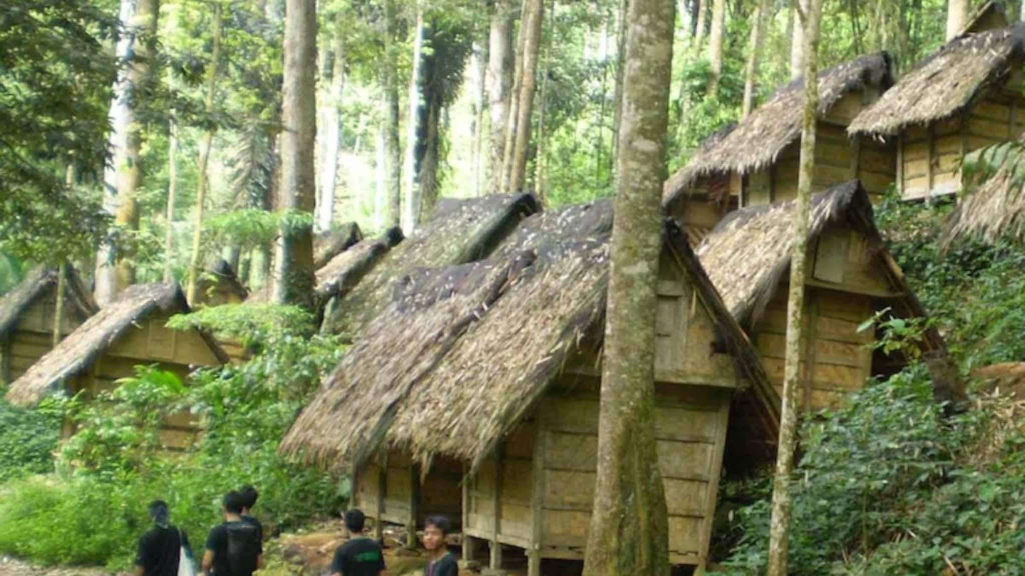 भारतातील 'या' गावात वेळ थांबलाय; पण इथले लोक पाहतात भविष्य, आदिवासी जगाचं गूढ रहस्य समोर