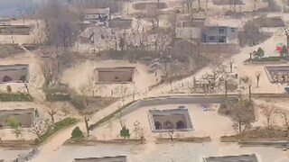 व्हायरल व्हिडीओ