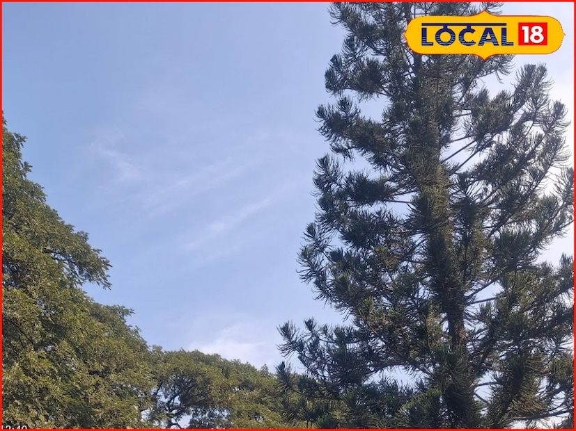 सांगली जिल्ह्यात मागील 24 तासात 15.8 अंश सेल्सिअस किमान तापमानाची नोंद झाली. आज जिल्ह्यात कमाल तापमान 29 अंशावर राहील. तसेच किमान तापमान 15 अंशावर राहण्याचा अंदाज असून दुपारनंतर हवामान ढगाळ राहील. 