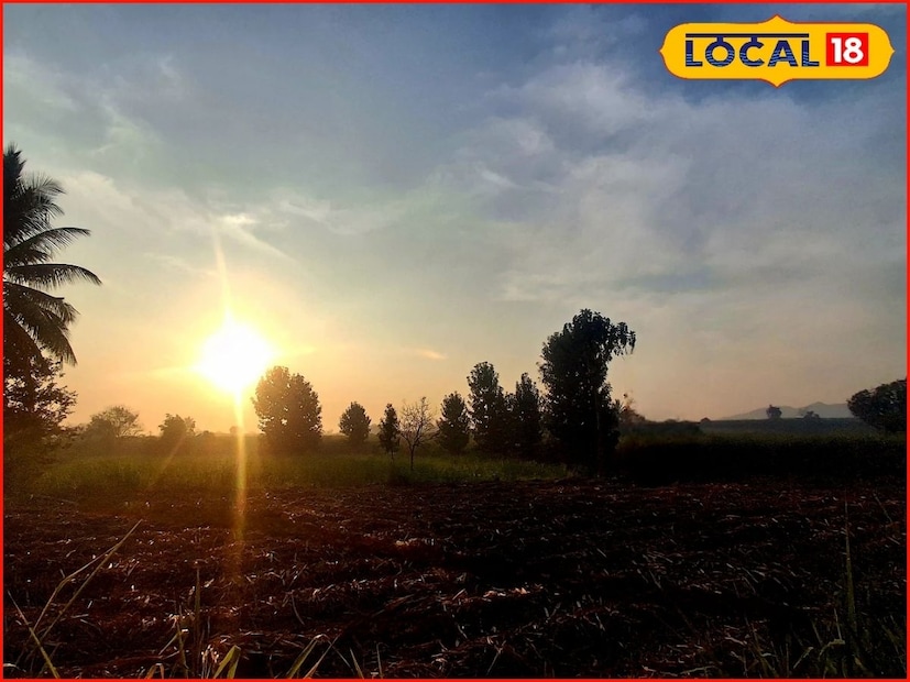 शुक्रवारी राज्यातील थंडीचा जोर काही प्रमाणात कमी होऊन किमान तापमानात वाढ होण्याचा अंदाज आहे. मात्र पहाटे थंडी कायम राहण्याची शक्यता हवामान विभागाने वर्तविला आहे. पुढील तीन ते चार दिवस किमान तापमानातील वाढ कायम राहील. त्यानंतर पुन्हा गारठा वाढण्याचे संकेत हवामान विभागाने दिले आहेत.