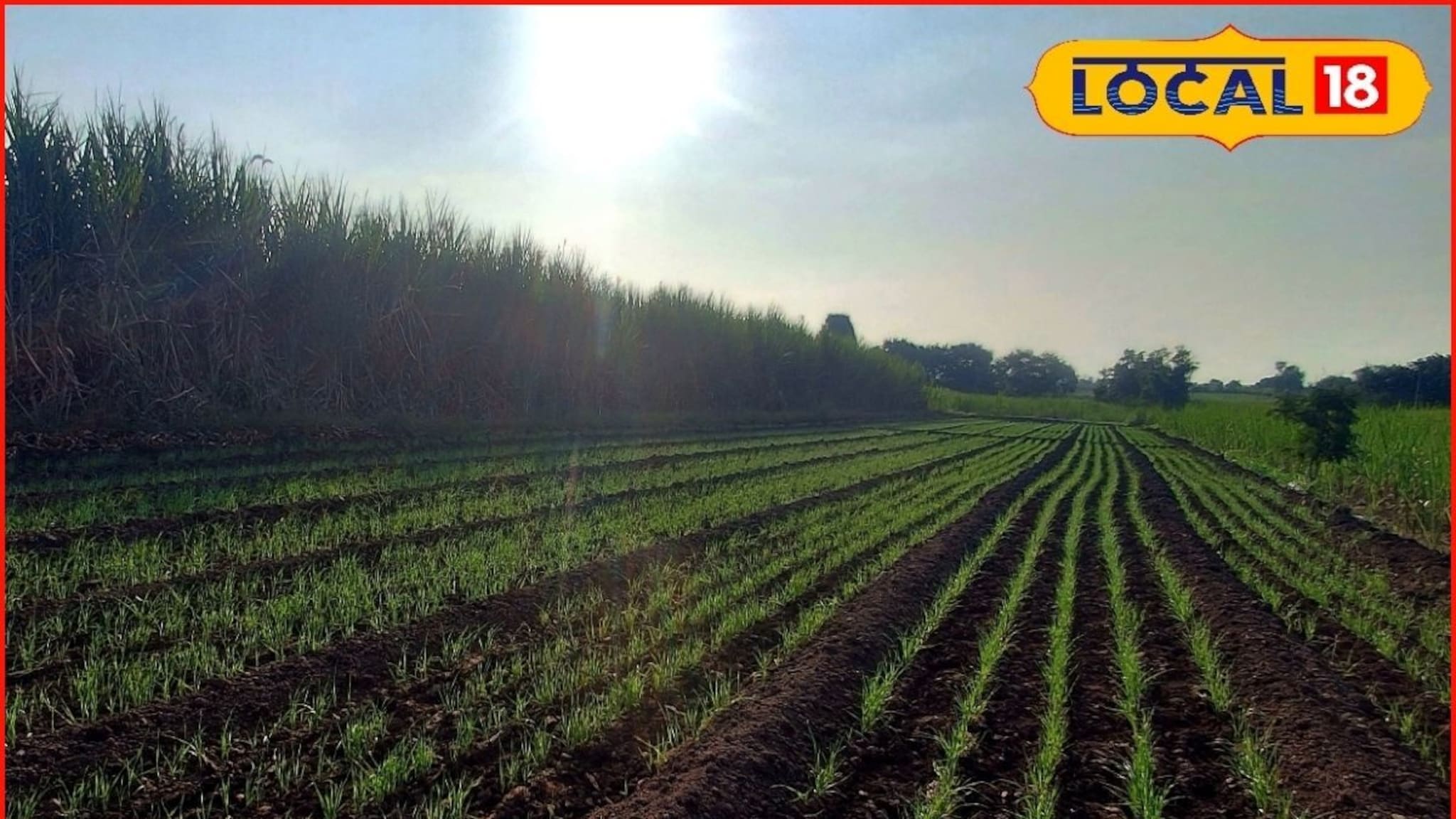 Weather Alert: थंडीच्या दिवसांत उन्हाच्या झळा, कोल्हापूर ते पुणे हवामानात मोठे बदल, आजचं अपडेट