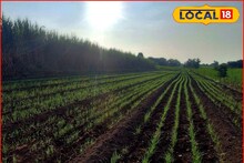 Weather Alert: थंडीच्या दिवसांत उन्हाच्या झळा, कोल्हापूर ते पुणे हवामानात मोठे बदल, आजचं अपडेट