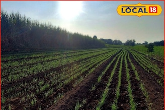 थंडीच्या दिवसांत उन्हाच्या झळा, कोल्हापूर ते पुणे हवामानात मोठे बदल, आजचं अपडेट