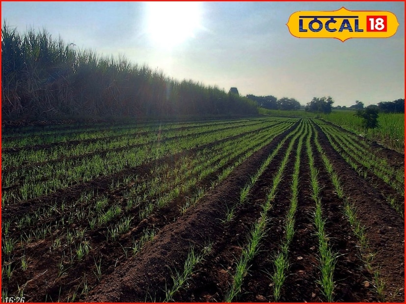 पश्चिम महाराष्ट्रातील सर्वच जिल्ह्यांत किमान आणि कमाल तापमानात मोठी वाढ झाली असून थंडी गायब झाली आहे. किमान तापमानात सरासरीच्या तुलनेत 2 ते 5 अंशांची वाढ झाली आहे. दुपारच्या वेळेस उन्हाचा चटका तापदायक ठरत असून, वाढलेला उकाडा रात्री उशिरापर्यंत कायम राहत आहे.