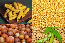 Krushi Market Today: लग्नाच्या धडाक्यात हळदीचा भाव वाढला, कांद्यासह मका आणि सोयाबीनला भाव किती?