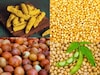 लग्नाच्या धडाक्यात हळदीचा भाव वाढला, कांद्यासह मका आणि सोयाबीनला भाव किती?