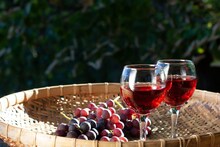 Expensive vs Cheap Alcohol : खरंच महागडी दारू 'कमी' चढते? किंमत आणि नशा यामागे काय आहे कनेक्शन?