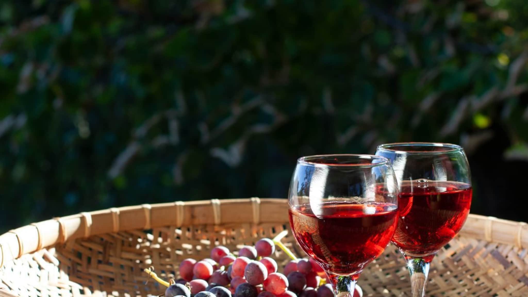 Wine Fact : वाईन एकदा फोडली की ती खराब होते का? हजारो वर्ष टिकणाऱ्या दारुचं हे फॅक्ट्स मात्र 99 टक्के लोकांना माहित नाही