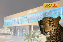 पुणे तिथे काय उणे! रात्रीचे दीड वाजले; विमानतळावर प्रवाशांची गर्दी अन् अचानक बिबट्या पोहोचला धावपट्टीवर