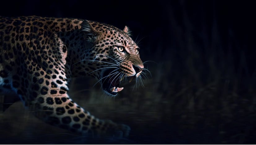 मालिकेतल्या या नव्या वळणाबद्दल सांगताना विशाल म्हणाला, 