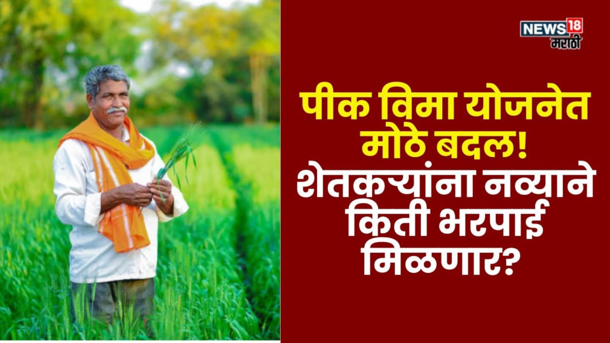 मोदी सरकारकडून पीक विमा योजनेत मोठे बदल! शेतकऱ्यांना नव्याने किती भरपाई मिळणार?