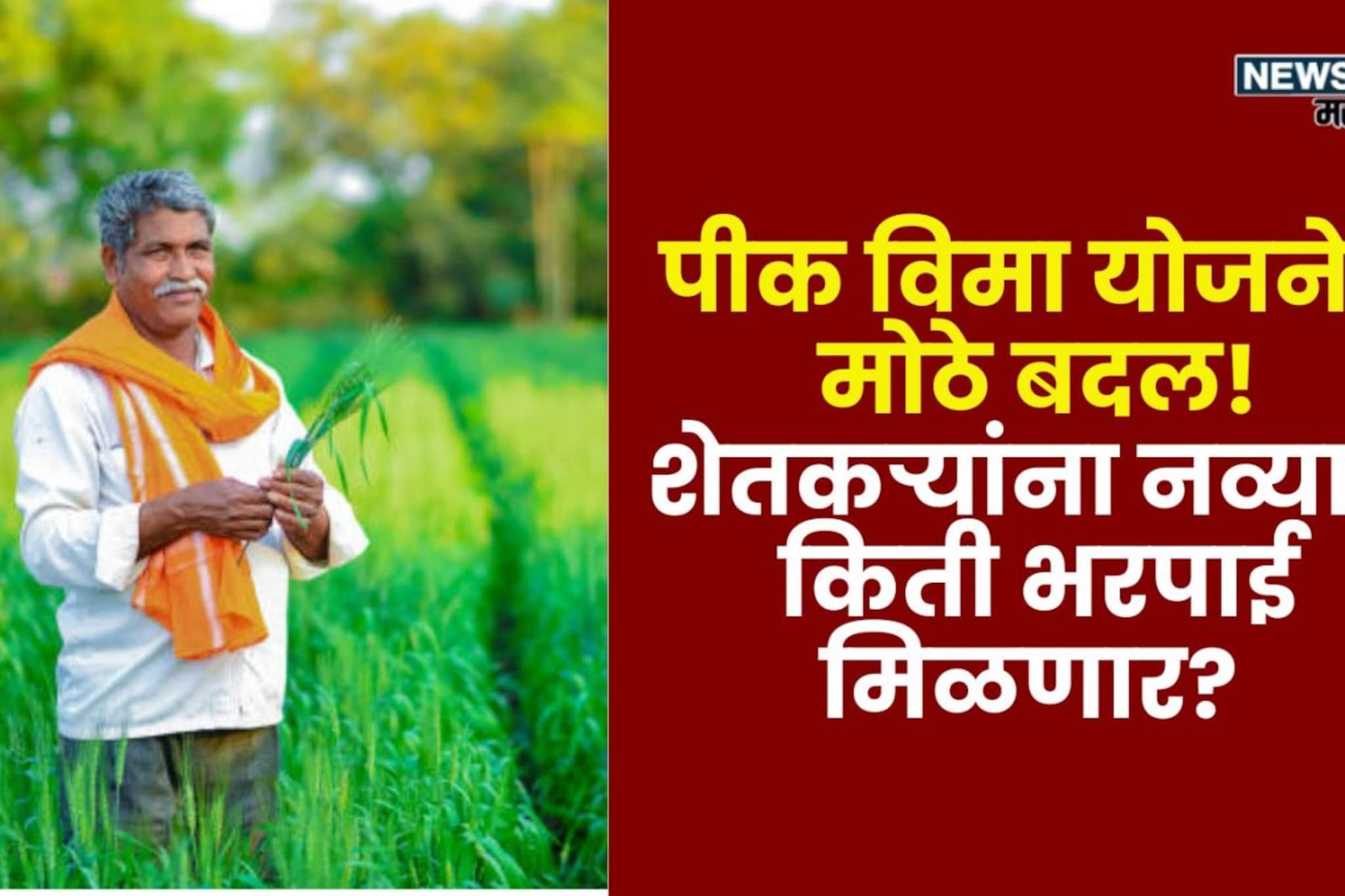 मोदी सरकारकडून पीक विमा योजनेत मोठे बदल! शेतकऱ्यांना नव्याने किती भरपाई मिळणार? मोदी सरकारकडून पीक विमा योजनेत मोठे बदल! शेतकऱ्यांना नव्याने किती भरपाई मिळणार?